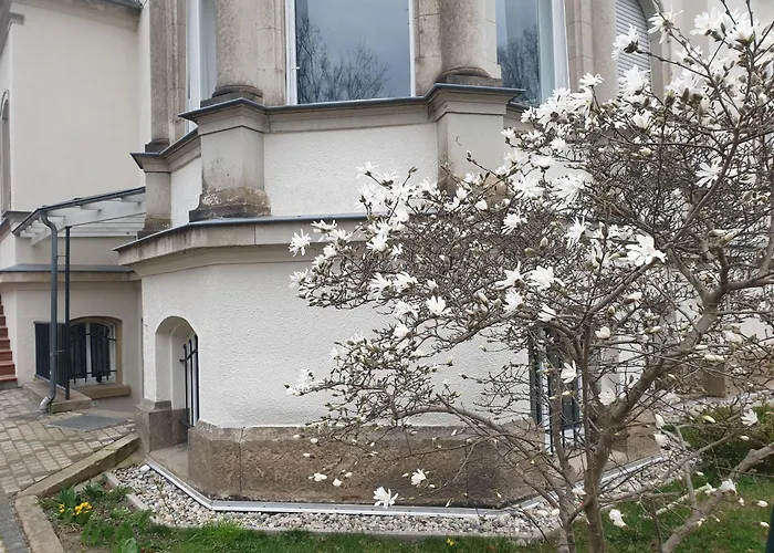 Wiener Palais Am Grossen Garten, Arbeitsplatz, Familie, 7 Pers, Smart-Tv